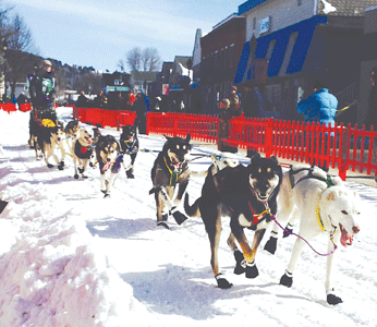 Sally Manikian and her sled-team