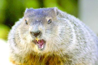 EP w6 groundhog day column