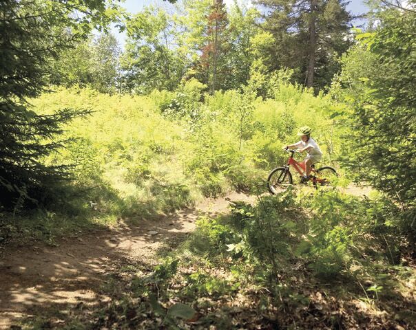 Wheel Family Fun - Iver Minnich