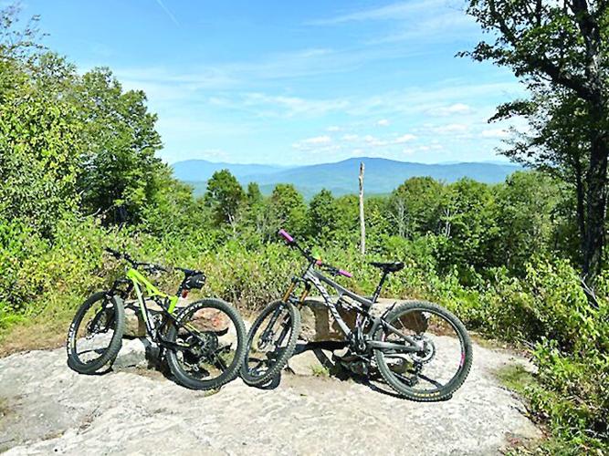 Wheel Family Fun - Green Woodland - panoramic view