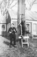 William Marvel: Hunting Davis Hill