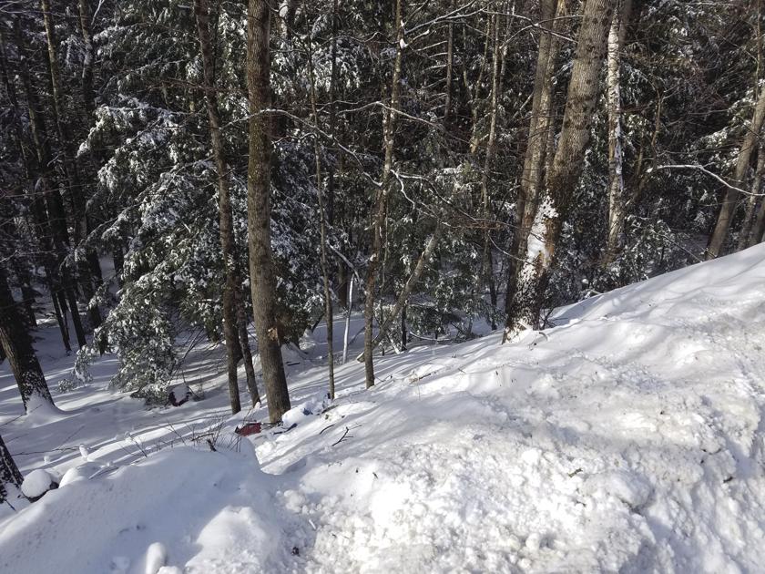 Jackson officer performs rope rescue after vehicle goes over embankment