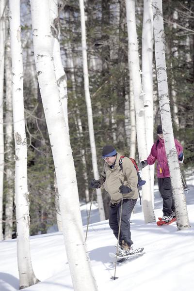 Snowshoeing in the woods