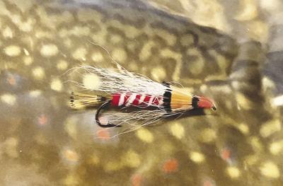 9-11-2021 North Country Angling-Bergman’s Frances