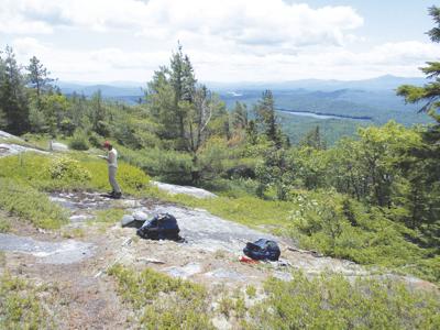 5-30-2020-Parsons-Albany Mountain