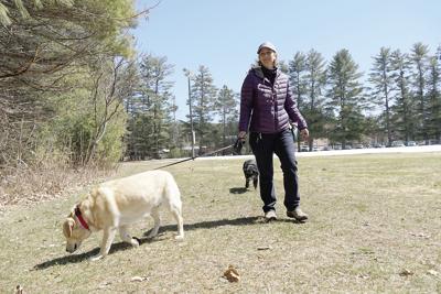 4-17-19 Dogs at Whitker