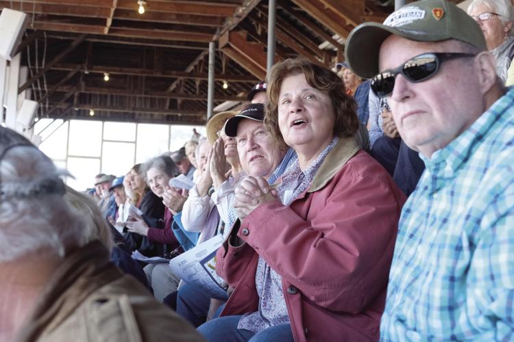 10-3-17 Frye Fair 18.JPG