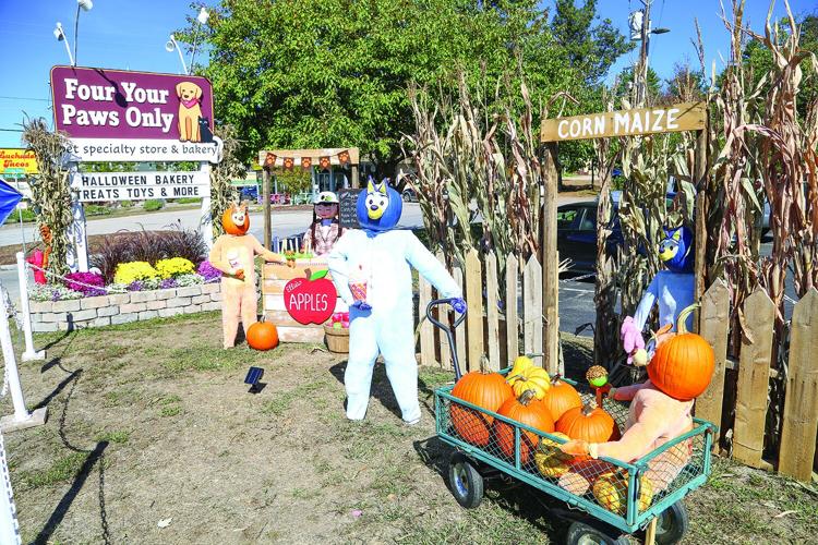 10-02-25 Pumpkin People fypo widest