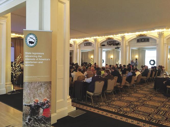 nasc wide shot