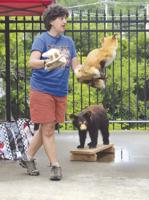 Seating at Berlin library's park to be improved