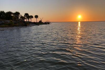 Seagrass has made an unexpected return to Mosquito Lagoon. Captain William B. Wolfson, Grassroots Guide Service, New Smyrna Beach, FL