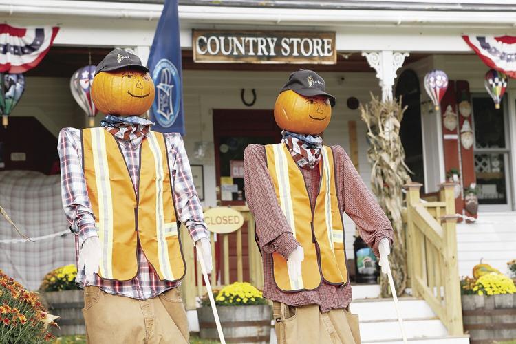 10-05-21 Pumpkins flossies tighter