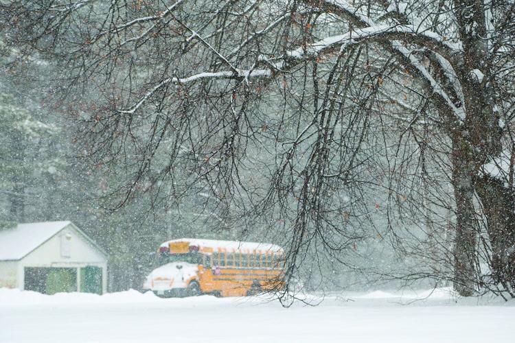 12-02-25 Snow tree and bus