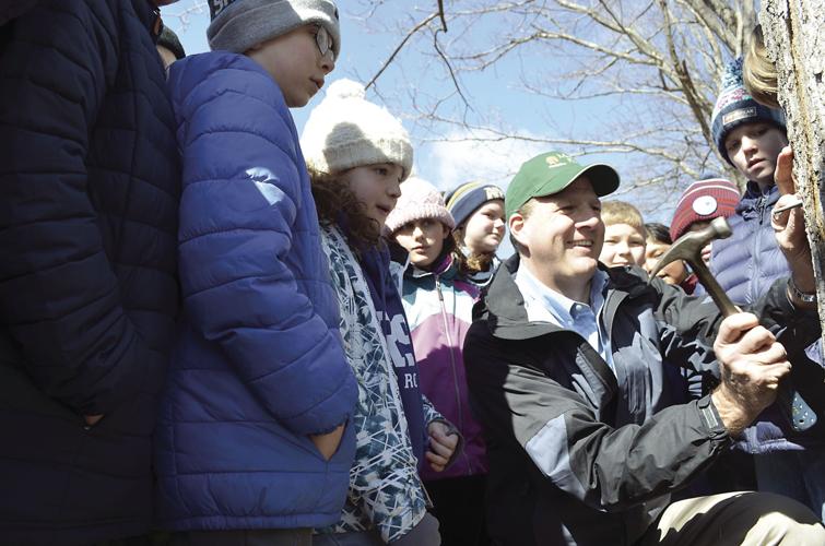 Sununu Maple Sugar Month
