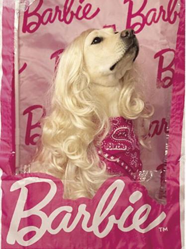 ACTS - Jonsey as Barbie for Halloween