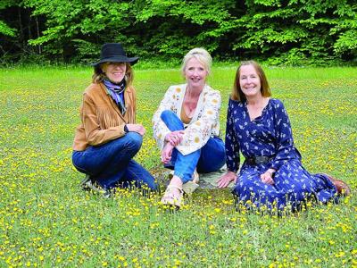 Teresa Dyer and the Wildflowers Press Release