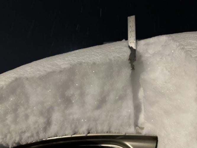 Almost 14 inches of snow graced the top of this vehicle