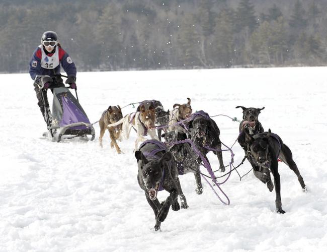 SLED DOG RACES