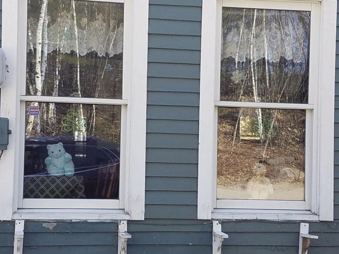 Teddy Bears Shannon Door