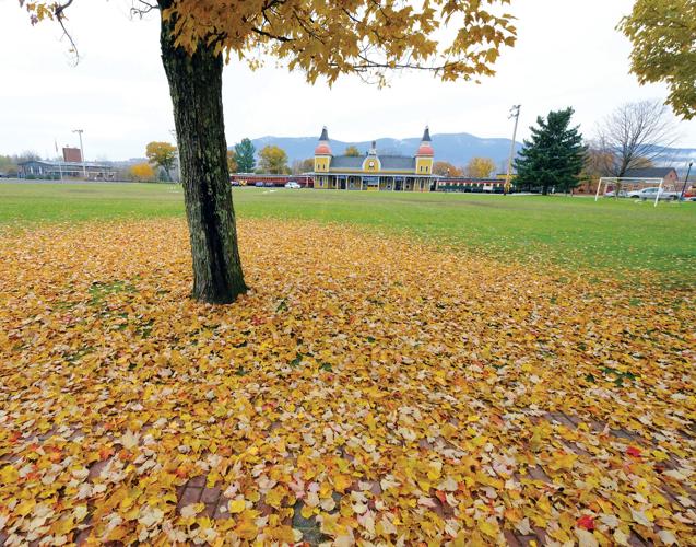 11-2-18 Autumn's Past