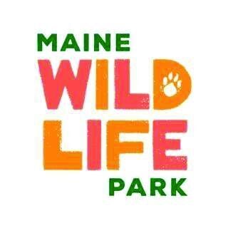 CL w39 maine wildlife park logo