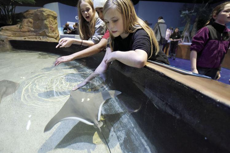 12-20-19 Living shores