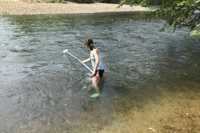 A student collects a water sample for DNA analysis. David Duvernell, CC BY
