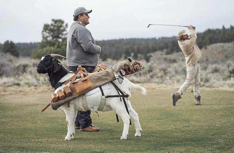 Golf Column - Goat caddiies
