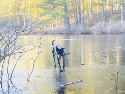 12-3-2022 North Country Anglng-Ice tease