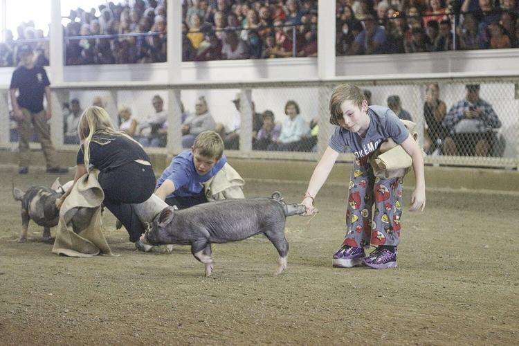 10-01-23 Fryeburg Fair pulling leg