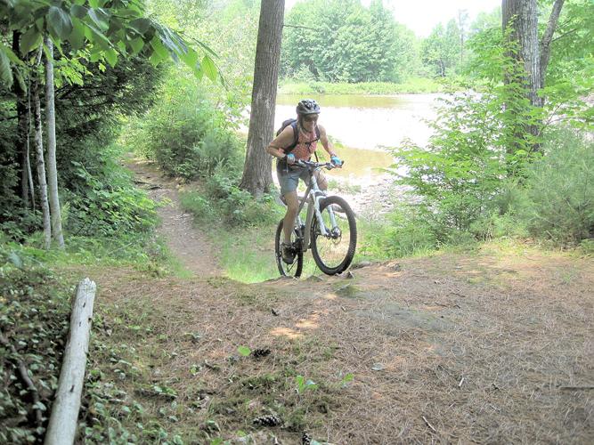 Wheel Family Fun - Albany Town Forest