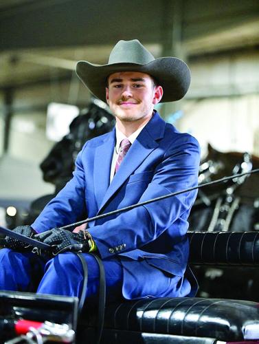 Husseys - Sawyer Hussey to compete at World Percheron Congress