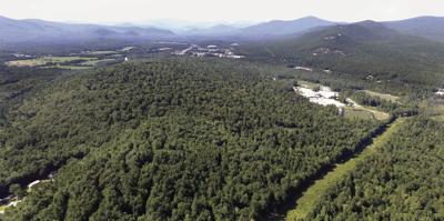 Pine Hill Community Forest