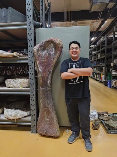 Newly identified giant long-necked dinosaur weighed same as nine adult elephants