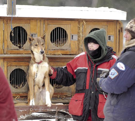 2-25 sled dogs-taking a break.jpg