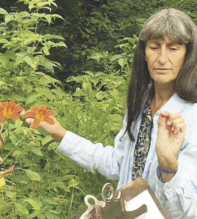 Carol Felice-Wild Edibles Walk