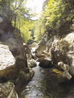 Revisiting Wild River Valley in the summer