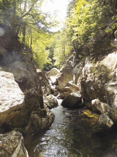 4-11-2020 Parsons-Moriah Brook Gorge