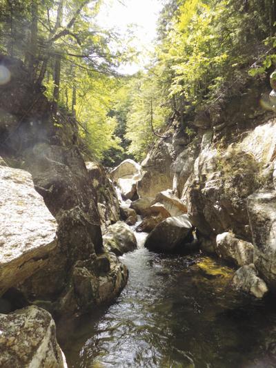 4-11-2020 Parsons-Moriah Brook Gorge