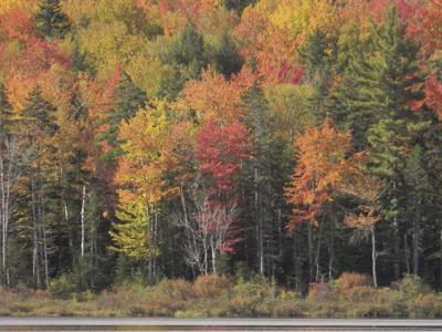 10-15-2022 Parsons-Church Pond