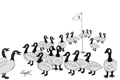 ladies golf