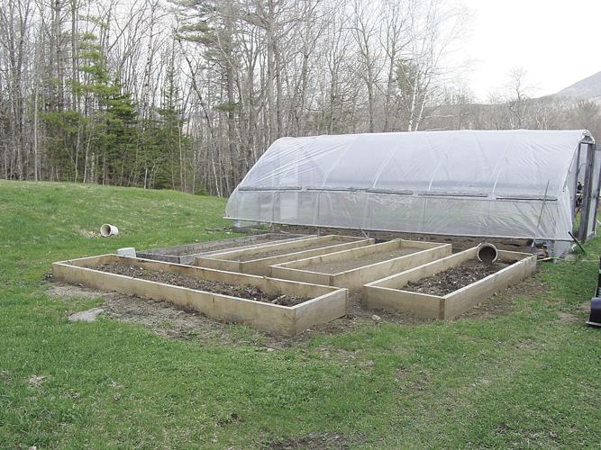 raised beds