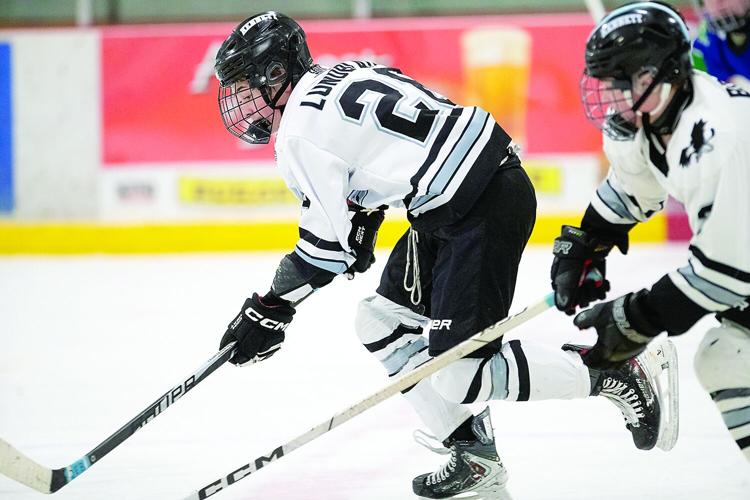 MWV Youth Hockey -Learn to Play - Ethan Lundblad