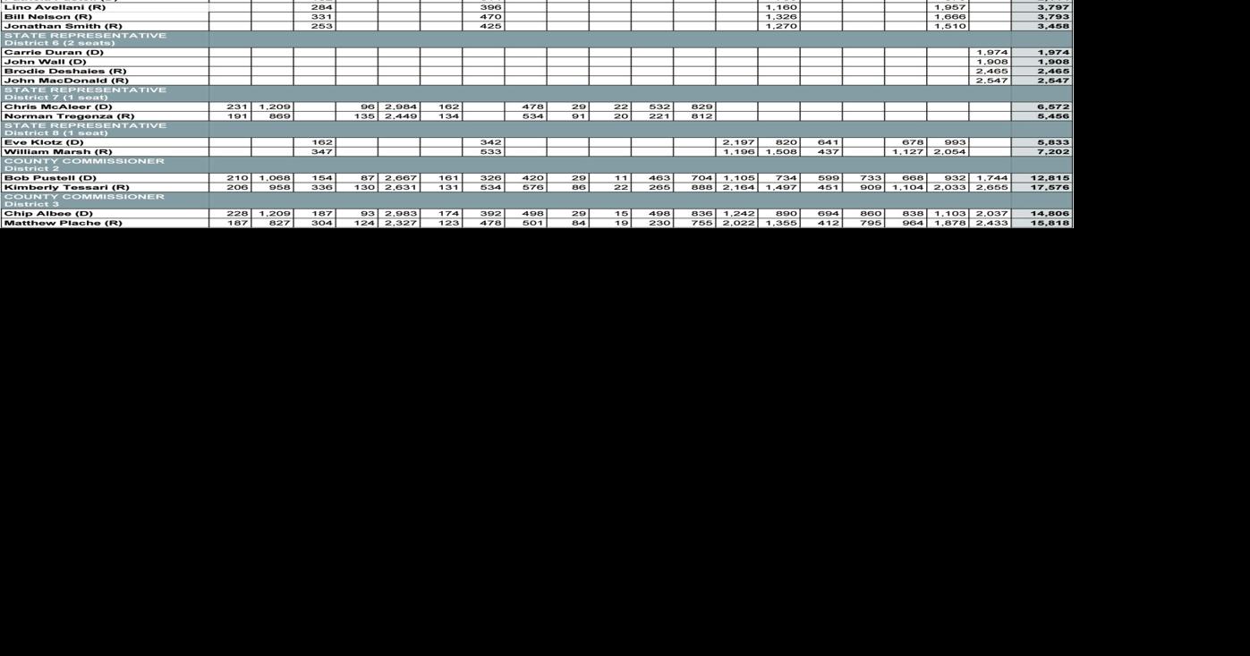 CARROLL COUNTY ELECTION RESULTS 2020
