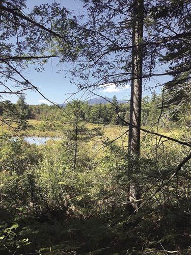 Wheel Family Fun - Oct. 20