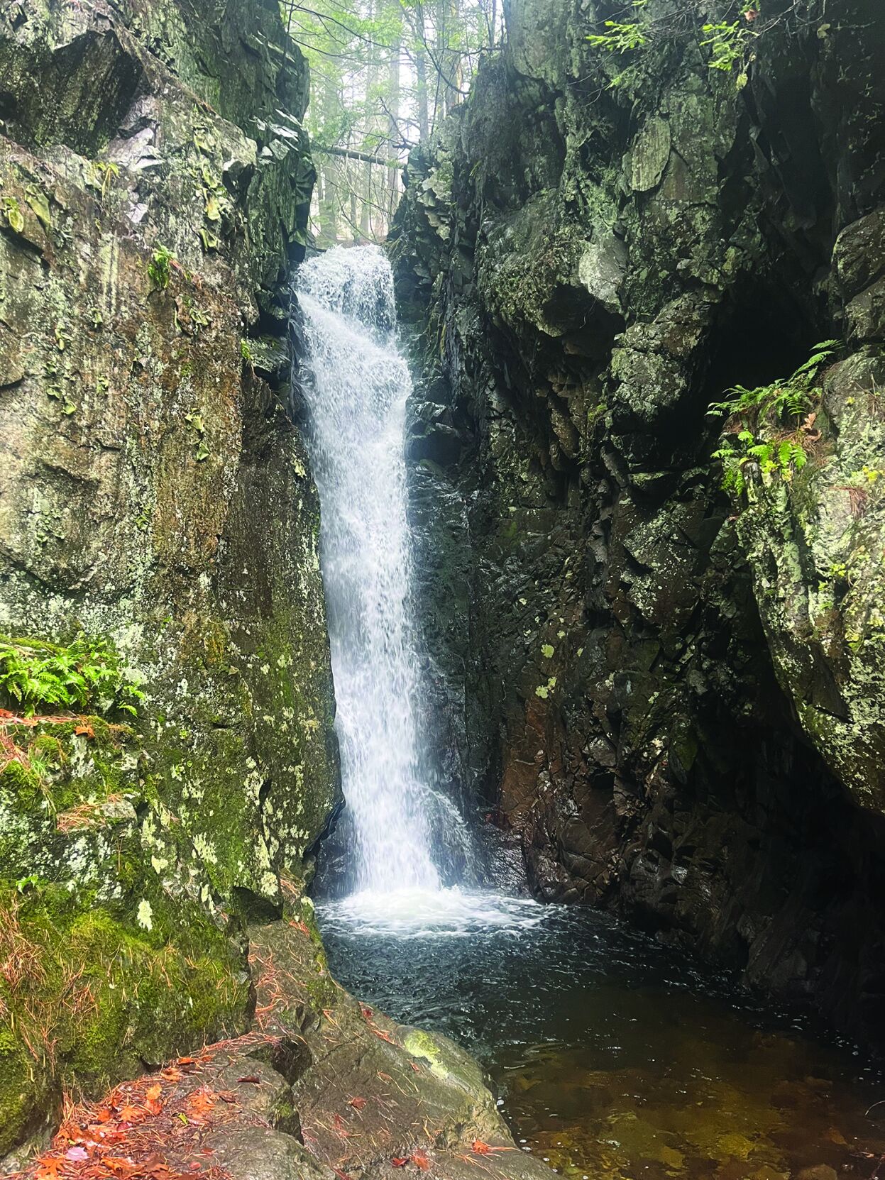 Parsons- Castle in the Clouds.jpeg