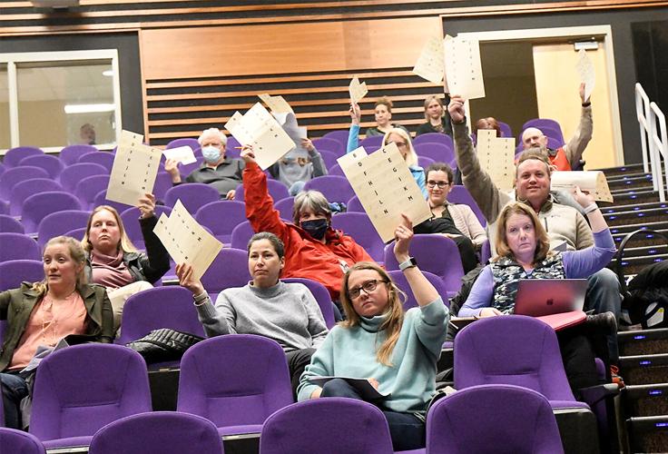 Conway Deliberative - Voters with cards in air