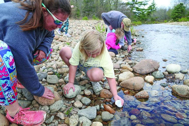 05-07-26 PT Trout Release medium best