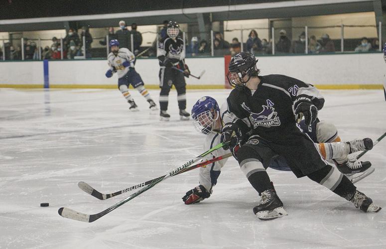 03-02-22 Ice Cats micklon floating behind