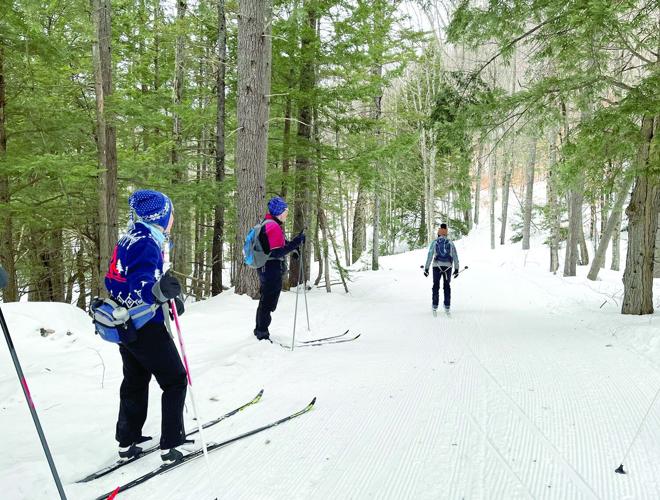 Nordic Tracks - Bear Notch Ski Touring and winery - Yates Farm downhill trail